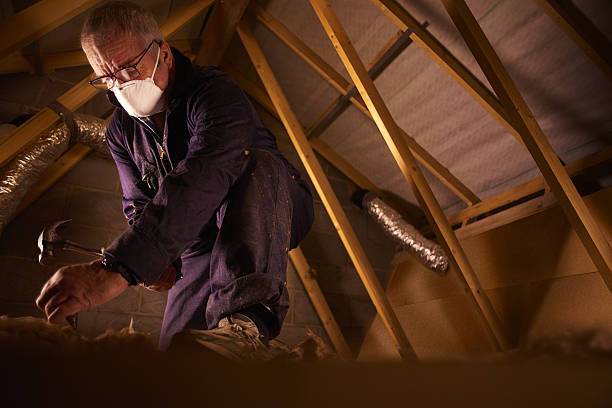 Best Geographic-Specific Insulation Services in Waveland, MS