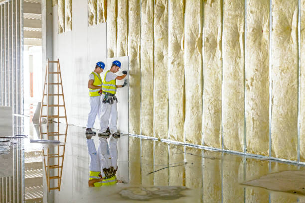 Best Eco-Friendly Insulation in Waveland, MS
